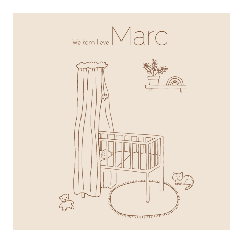 Geboortekaartje jongen in wiegje met katje en knuffelbeer