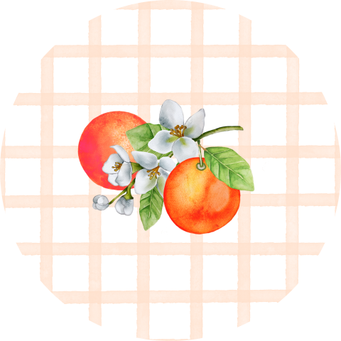 Sluitsticker zegel geboorte sinaasappels