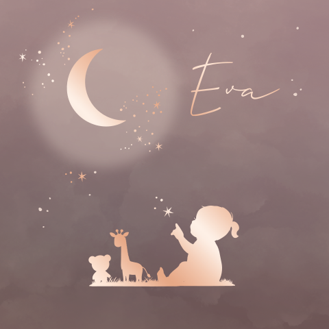 Geboortekaartje winterliefde voor een meisje met maan en sterren