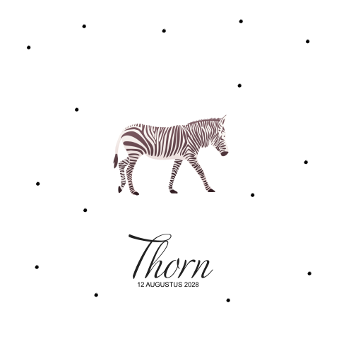 Geboortekaartje  voor een jongen