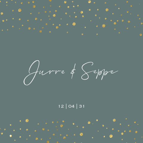 Hip babykaartje jongens tweeling goud look stippen