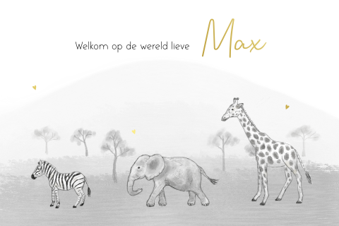 Geboortekaartje savannedieren jongen