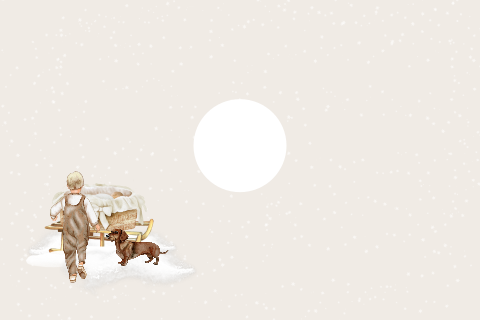 Lief geboortekaartje jongen met broertje, wintermandje en hondje