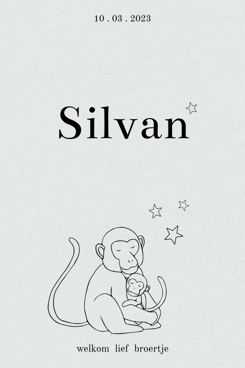 Geboortekaartje jongen met aapjes en sterren