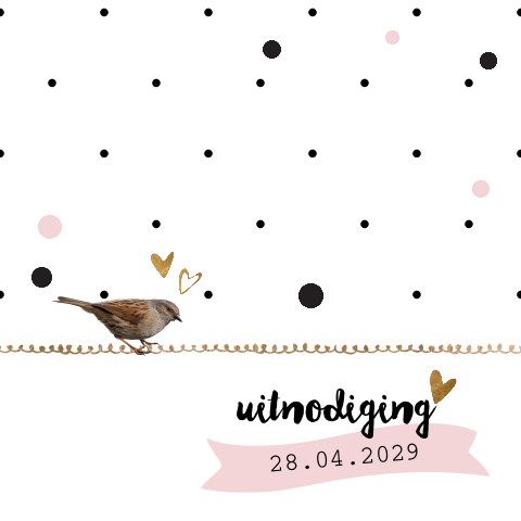 Kraamfeest kaartje met sterren hartjes en vogeltje