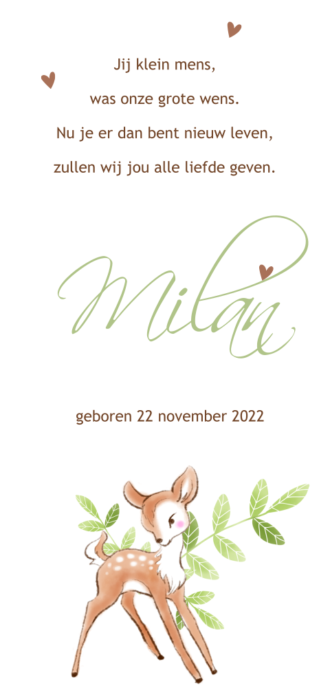 Vintage geboortekaartje voor jongen met hertje