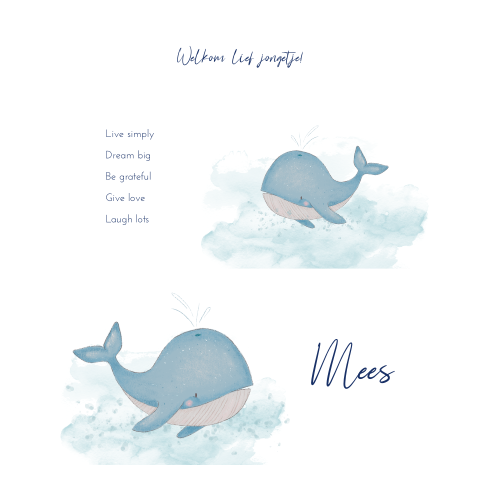 Schattig 2-delig geboortekaartje waterverf illustratie walvis