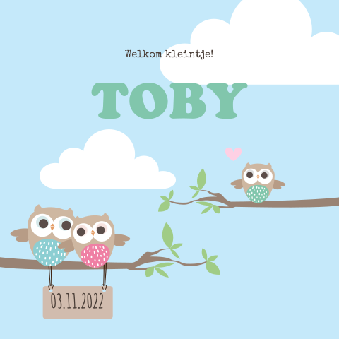 Vrolijk geboortekaartje uiltjes familie