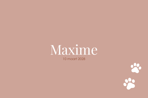 Schattige geboortekaartje met pootafdrukken voor meisje