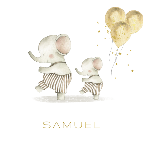 Lief geboortekaartje 2e kindje met olifant broer zus