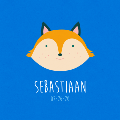 Vos hoofdje blauw geboortekaartje jongen