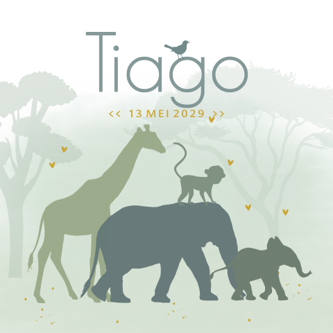 Tuinbord met jungle dieren vierkant