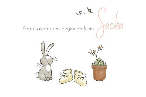 geboortekaartje meisje, slofjes, konijn, plant, bij