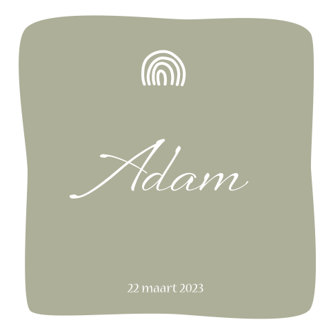 Geboortekaartje jongen kleur van het Jaar 2022 Olive Sprig