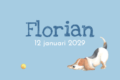 Geboortekaartje voor een jongen met een spelende beagle