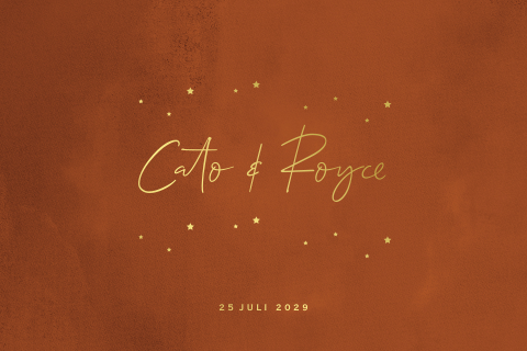 Velvet look geboortekaartje tweeling foliedruk sterretjes