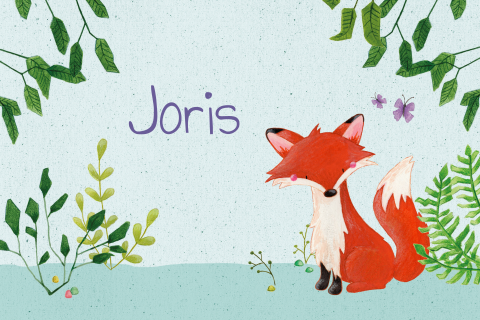Geboortekaartje nieuwsgierig vosje voor een jongen