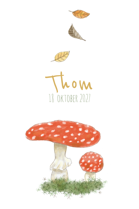 Geboortekaartje jongen paddestoelen herfst