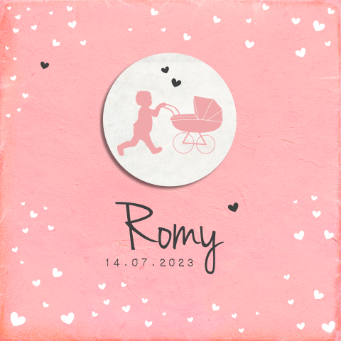 Geboortekaartje zusje met kinderwagen en grote broer