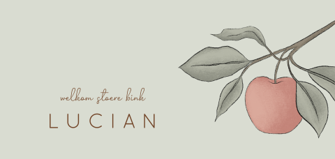 Modern geboortekaartje appel aan tak jongen