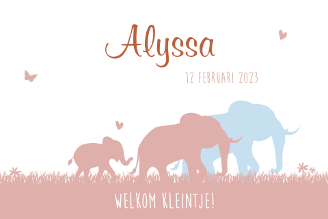 Hip geboortekaartje meisje met papa en mama olifant