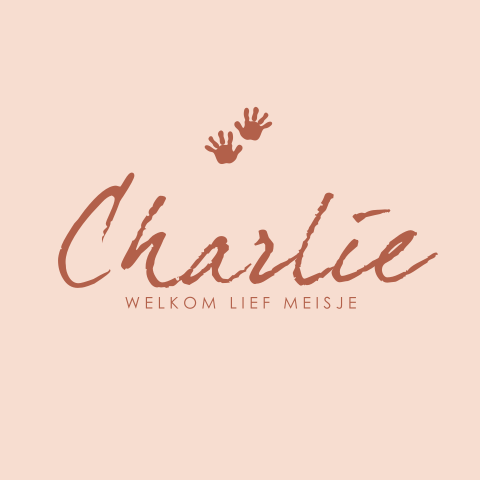 Geboortekaartje baby meisje handjes voetjes