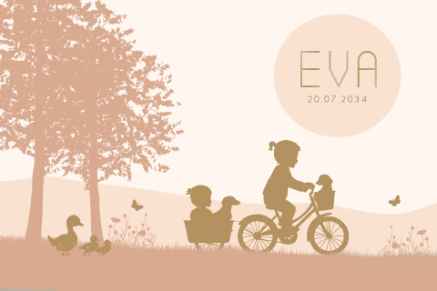 Geboortekaartje liggend bakfietsje broertje en meisje baby