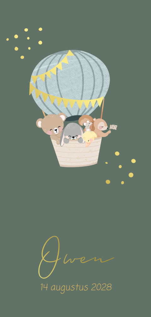 Geboortekaartje jongen luchtballon met dieren