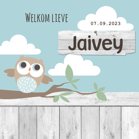 Geboortekaartje jongen met uil en hout