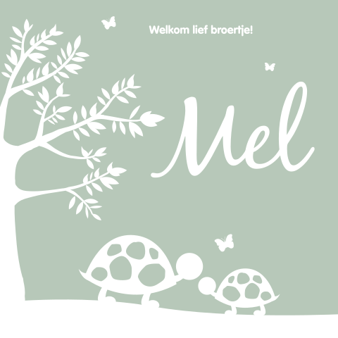 Geboortekaartje jongen en broertje met silhouetten van schildpadden