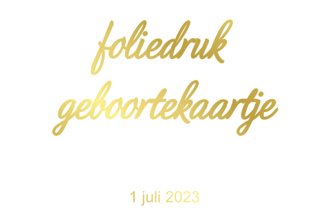 Blanco dubbel liggend geboortekaartje foliedruk enkelzijdig