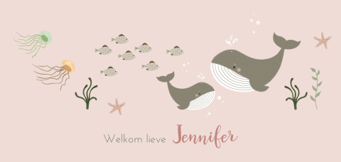 Geboortekaartje walvissen meisje