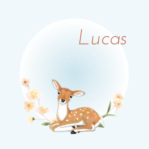 Geboortekaartje jongen met hert en bloemen