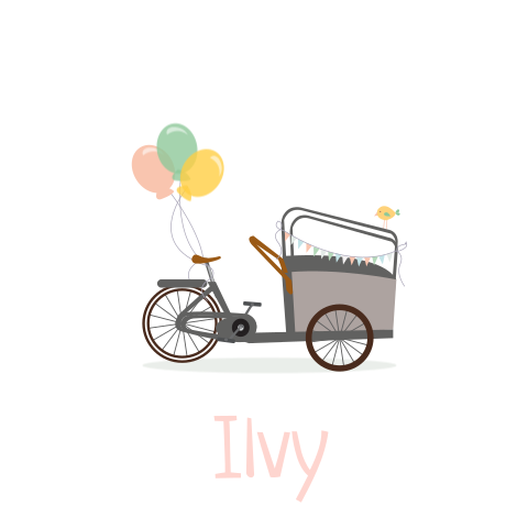 Geboortekaartje meisje bakfiets ballonnen