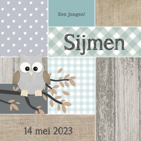 Stoer geboortekaartje jongen met uil grijs en mintgroen