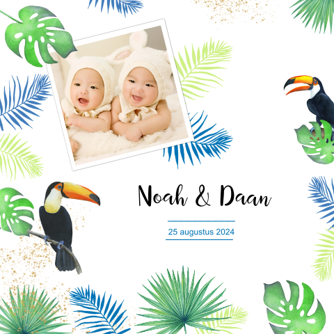 Geboortekaartje toekan jongetjes tweeling
