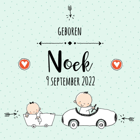 Lief geboortekaartje voor meisje mint met tekening meisje in kar