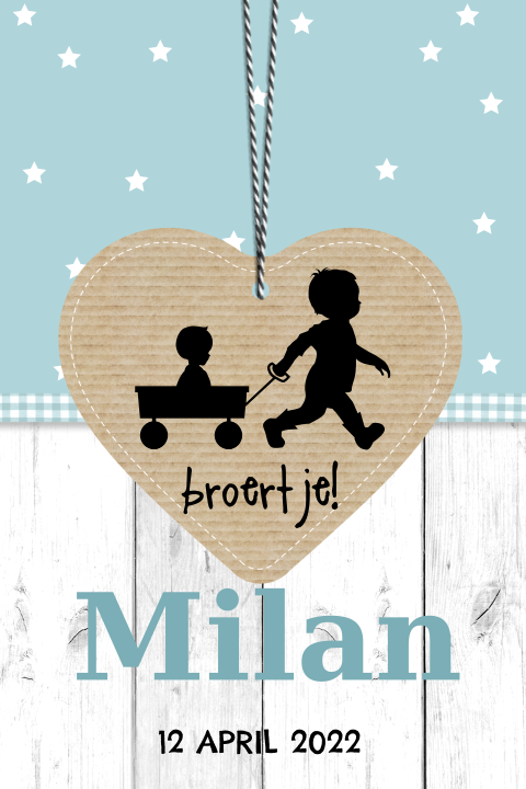 Hip geboortekaartje jongen en broertje met silhouet