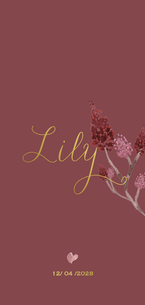 Klassiek geboortekaartje met pluim en foliedruk