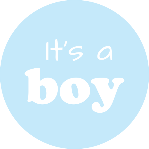 Sluitzegel blauw its a boy