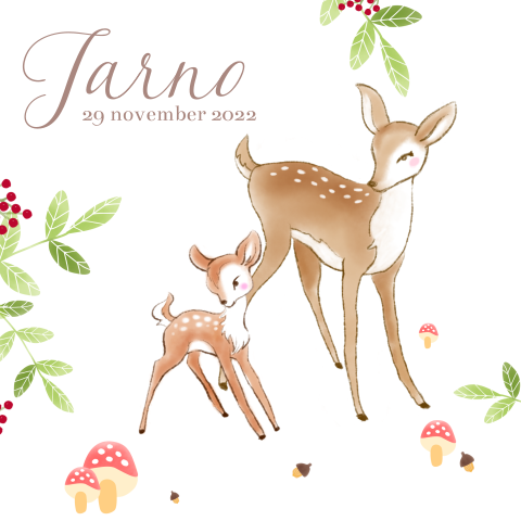 Vintage geboortekaartje voor een jongen met hertjes