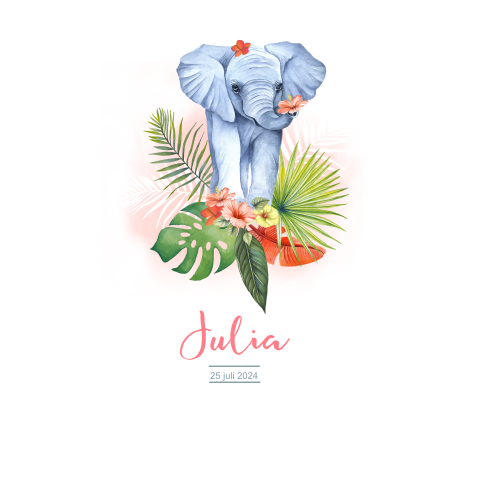 Geboortekaartje olifantje meisje