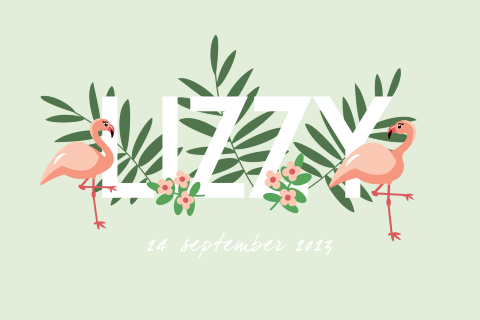 Geboortekaartje voor een meisje met flamingo