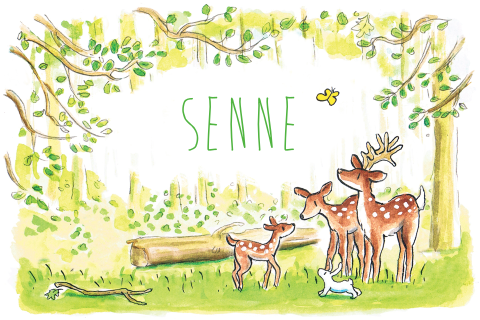 Geboortekaartje jongen of meisje met getekende hertjes in het bos