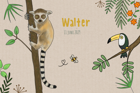 Geboortekaartje jongen jungle maki