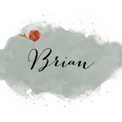 Geboortekaartje jongen groene waterverf vogeltje koperkleur