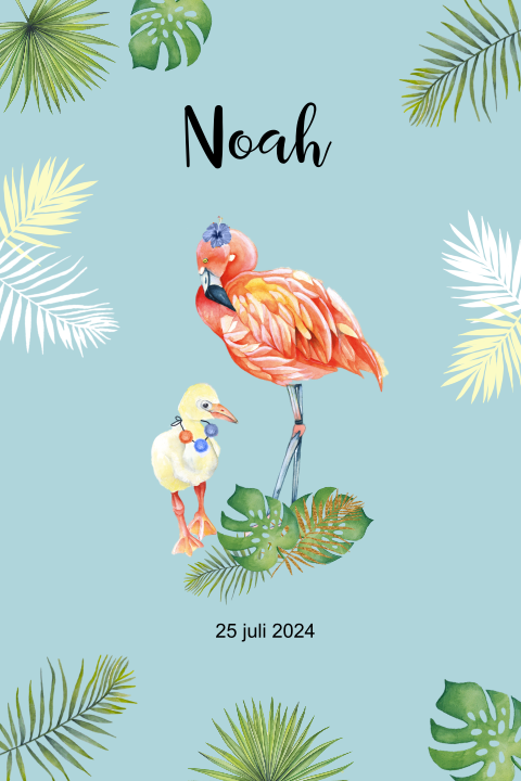 Geboortekaartje flamingo baby jongen