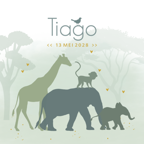 Geboortekaartje baby jongen jungle dieren en bomen
