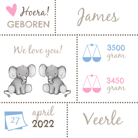 Geboortekaartje voor tweeling met olifanten