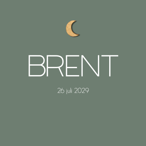 Modern geboortekaartje jongen met houten maantje